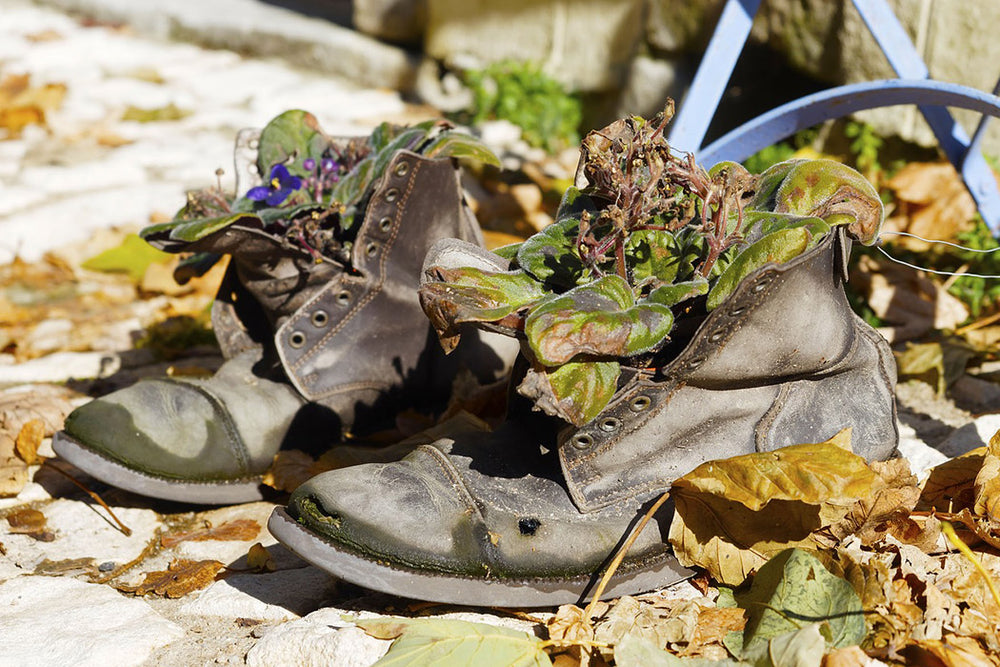 Reuse, recycle and donate shoes: Celebrate Earth Day